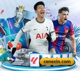 mksports在线登录入口围绕看球场景设计的核心服务